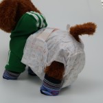 Pet Diapers Manufacturer - Female Male Cat Dog Incontinence
