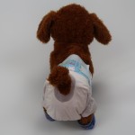 Cat Diapers Supplier - Disposable Male Wraps Incontinence