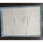 Training Pads Manufacturer - Disposable Hospital Medical Underpad