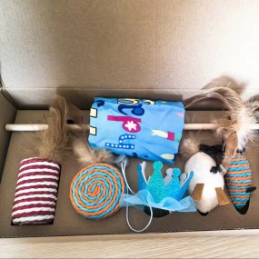 Pet Gift Set Factory - Birthday Celebration Box for Dog Cat