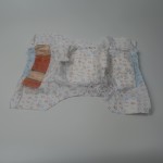 Pet Sanitary Pants Supplier - Disposable XS to XXL