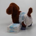 Cat Diapers Supplier - Disposable Male Wraps Incontinence