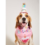 Pet Gifts Supplier - Eco-Friendly Holiday Season for Pets