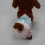 Male Dog Belly Band Supplier - Male Dog Underwear Walgreens