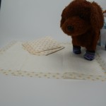 Training Pads Supplier - PH Indicator Litmus for Dogs