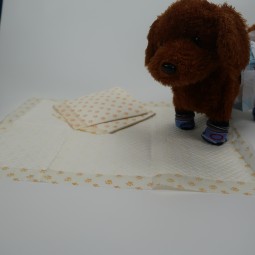 Training Pads Supplier - PH Indicator Litmus for Dogs