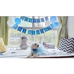 Pet Memorial Gifts Supplier - Memorial Moments for Pet Parents