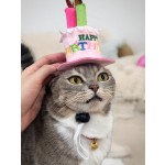 Pet Gifts Manufacturer - Eco-Friendly Birthday for Dogs Cats