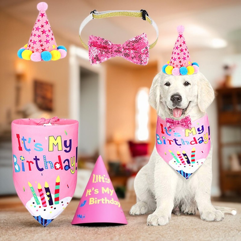 Pet Gifts Manufacturer - Eco-Friendly Birthday for Dogs Cats