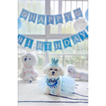 Pet Gift Basket Manufacturer - Birthday Box for Puppy Kitty