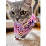 Pet Gifts Manufacturer - Eco-Friendly Birthday for Dogs Cats