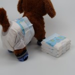 Cat Diapers Supplier - Disposable Male Wraps Incontinence