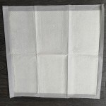 Training Pads Manufacturer - Disposable Hospital Medical Underpad