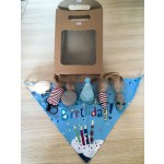 Pet Gift Set Factory - Birthday Celebration Box for Dog Cat