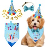 Pet Gift Basket Manufacturer - Birthday Box for Puppy Kitty