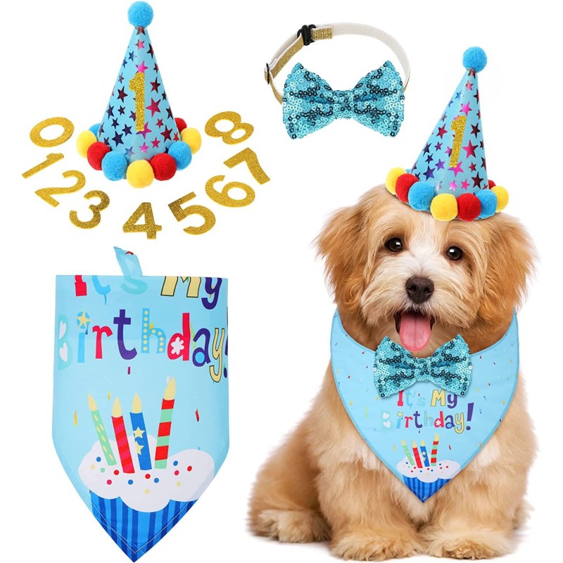 Pet Gift Basket Manufacturer - Birthday Box for Puppy Kitty