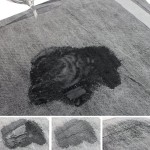 Pet Pee Pads Manufacturer - Bamboo Charcoal Transport Urine