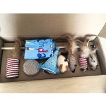 Pet Gift Basket Manufacturer - Birthday Box for Puppy Kitty