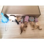 Pet Memorial Gifts Supplier - Memorial Moments for Pet Parents