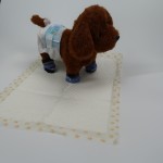 Training Pads Supplier - PH Indicator Litmus for Dogs