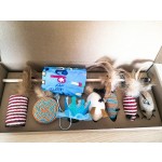 Pet Gifts Manufacturer - Eco-Friendly Birthday for Dogs Cats