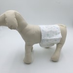 Dog Underwear Manufacturer - Best for Heat Belly Band