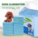 Pet Pads Manufacturer - Blue Waterproof Adhesive Disposable