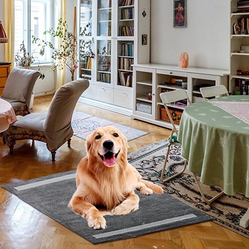 Pet Training Pads Manufacturer - Waterproof Absorbent Maternity