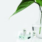 Peptide Ampoule Factory - OEM PDRN Wrinkles Pores Elasticity Pigmentation Improvement