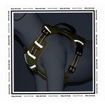 Dog Training Vest Supplier - Multi-Function Storage Pocket