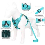 Pet Harness Manufacturer - Factory Price Adjustable