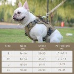 Dog Harness Supplier - Custom Adjustable Heavy Duty