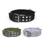 Dog Collar Factory - Custom Training Adjustable Nylon