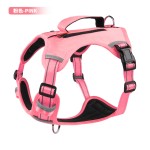 Dog Training Vest Supplier - Multi-Function Storage Pocket