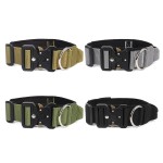 Training Collars Supplier - Factory Price Adjustable Nylon