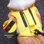 Dog Training Vest Supplier - Multi-Function Storage Pocket