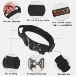 Training Collars Supplier - Factory Price Adjustable Nylon