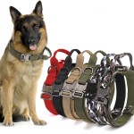 Dog Collar Factory - Wholesale Nylon Leash Set
