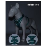 Pet Harness Manufacturer - Factory Price Adjustable