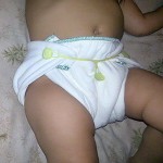 Prefold Diaper Manufacturer - Newborn Flat Printed Birdseye