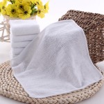 Disposable Towel Manufacturer - White Airline Hot and Cold