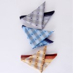 Gentleman Handkerchief Supplier - Wholesale Soft Cotton Made