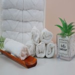 Airline Towel Supplier - WHOLESALE Disposable Refreshing