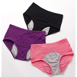 Menstrual Underwear Manufacturer - High-waist Plus Size