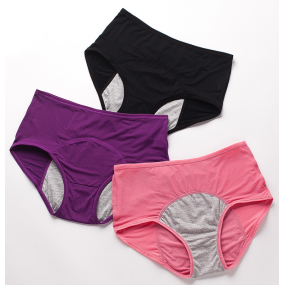 Menstrual Underwear Manufacturer - High-waist Plus Size