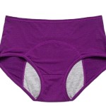 Menstrual Underwear Manufacturer - Period Woman Comfortable