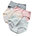 Women's Briefs Supplier - Plus Size Absorbent 3 Layer