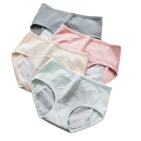 Women's Briefs Supplier - Plus Size Absorbent 3 Layer