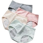 Woman Underwear Supplier - Comfortable Soft Mid-Rise Panties