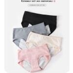 Period Panties Factory - Comfortable Soft Woman Mid-Rise